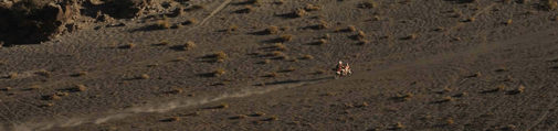Transanatolia rally - Pista